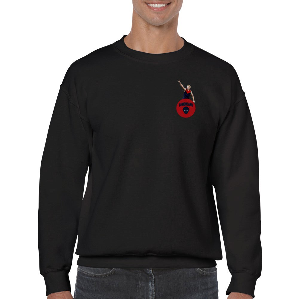 Clarry Jumper (FREE SHIPPING)