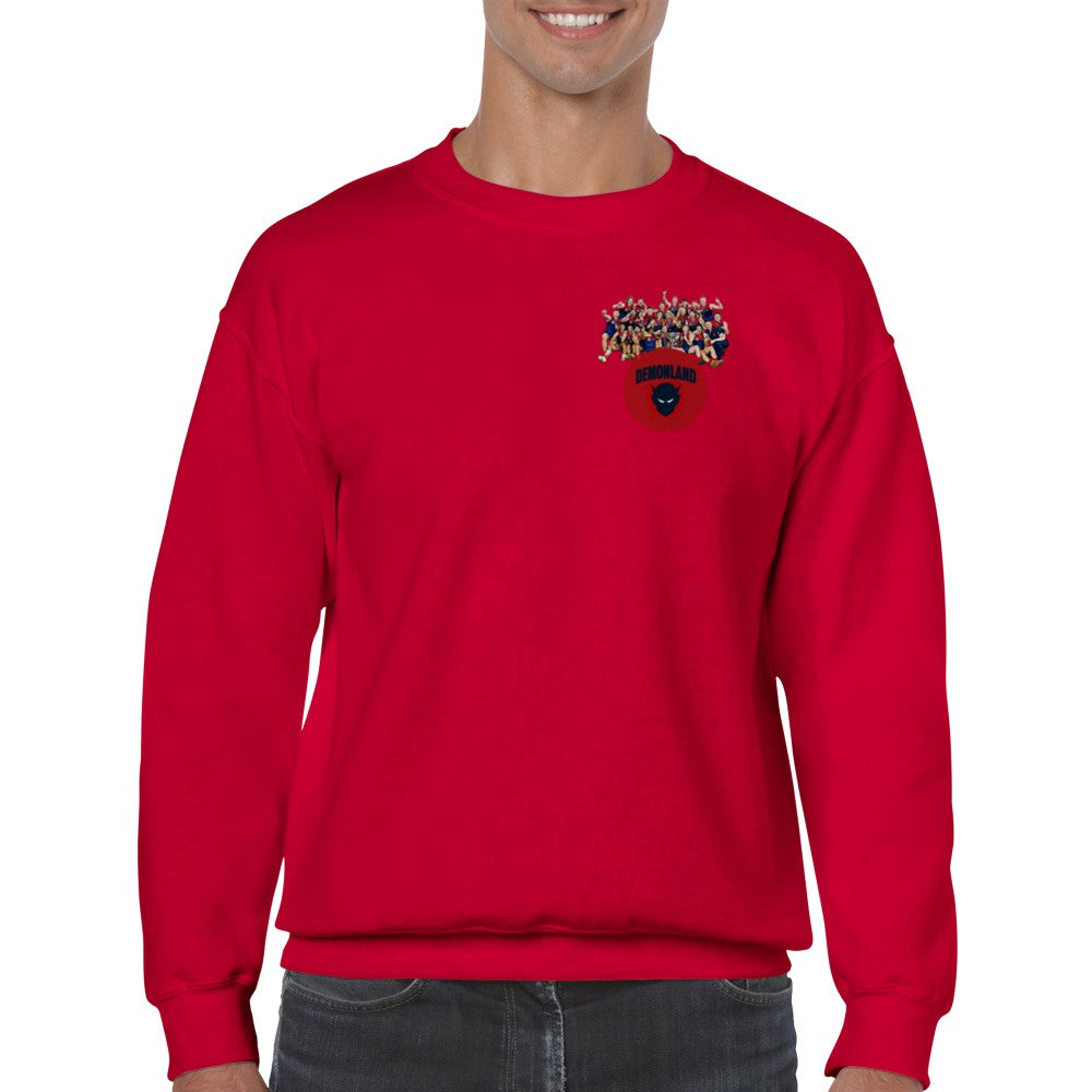 Team Jumper (FREE SHIPPING)