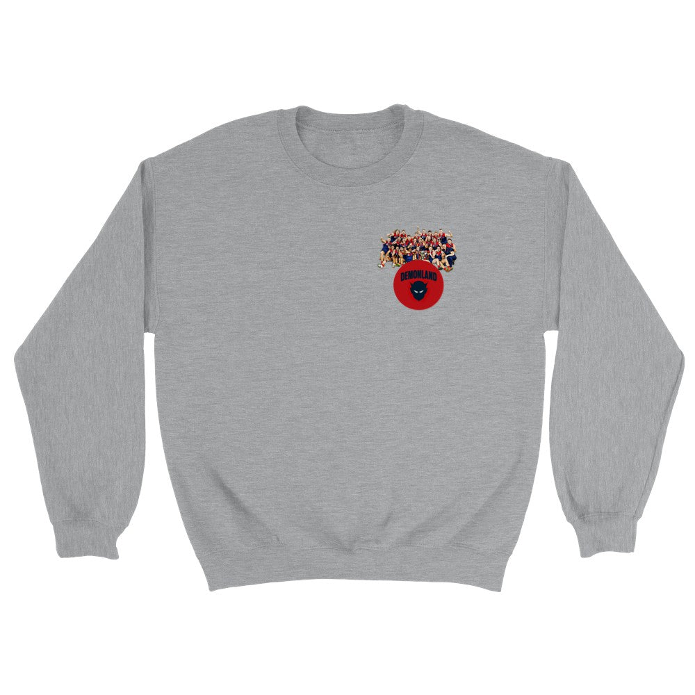 Team Jumper (FREE SHIPPING)