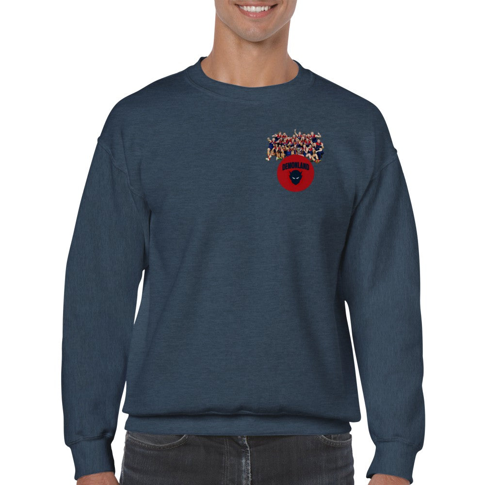 Team Jumper (FREE SHIPPING)