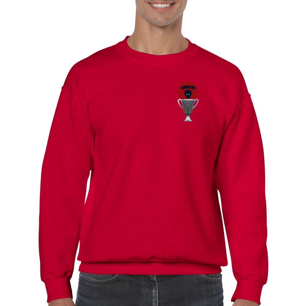 Premiership Cup Jumper (FREE SHIPPING)