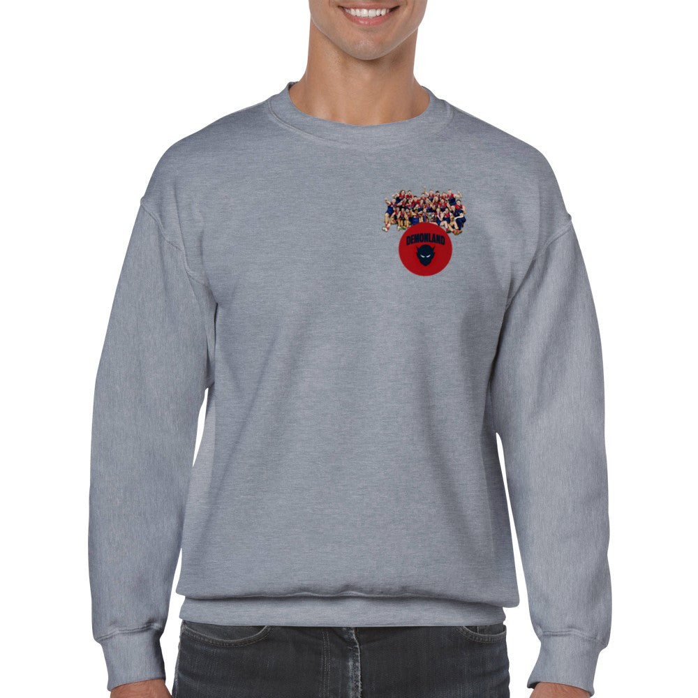 Team Jumper (FREE SHIPPING)