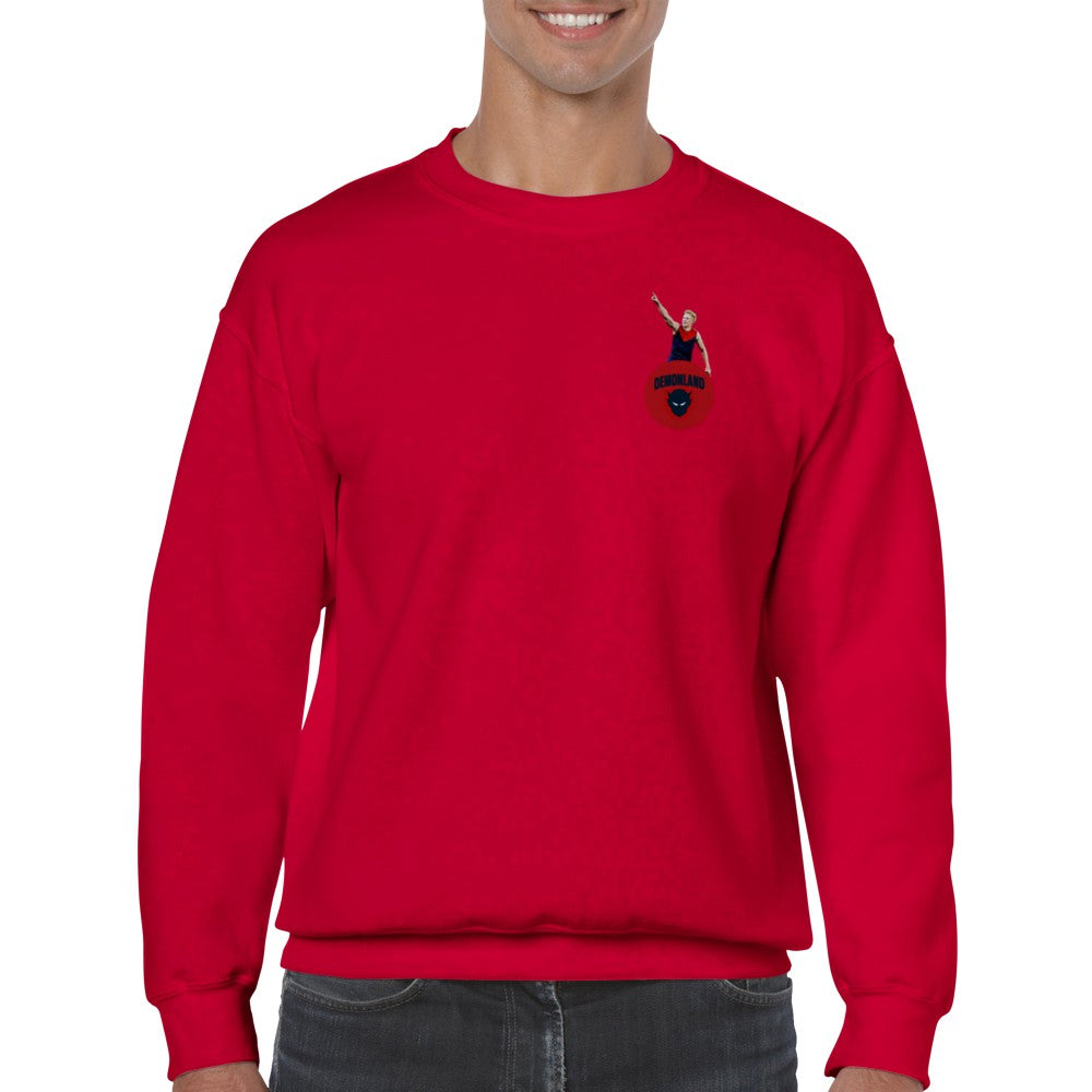 Clarry Jumper (FREE SHIPPING)