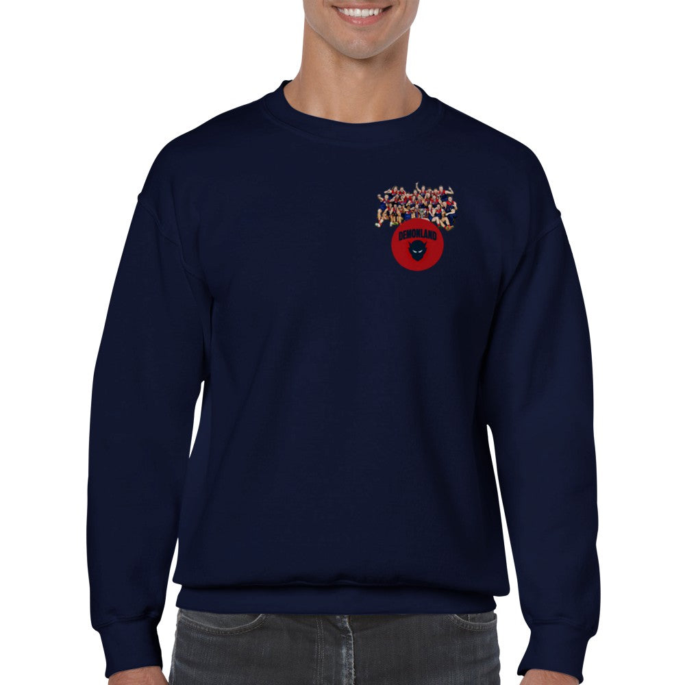 Team Jumper (FREE SHIPPING)