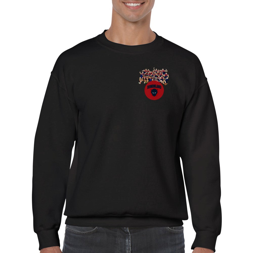 Team Jumper (FREE SHIPPING)